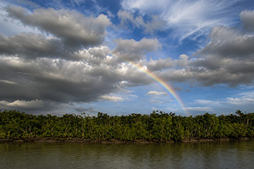 Go Sundarban