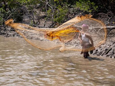 Sundarbans Wildlife Photography Gallery