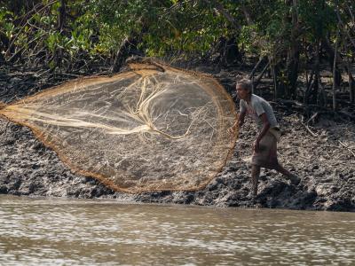 Sundarbans Wildlife Photography Gallery