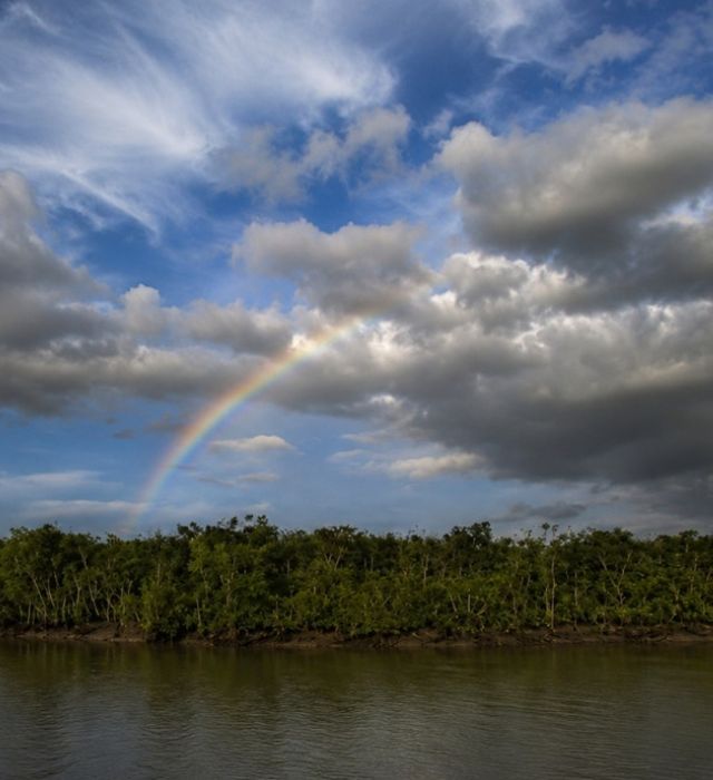 Sundarbans landscape